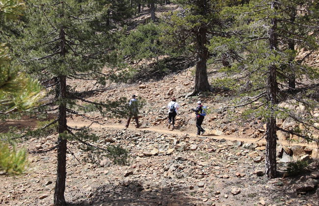 Tzionis Petroktisto Holiday Stonehouse - Photo 32