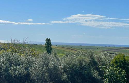 Sfendami House - Foto 18