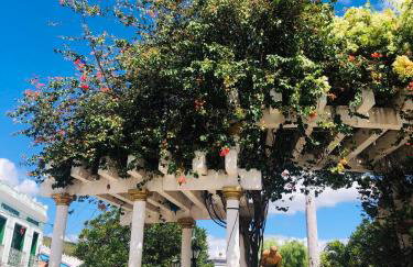 Casa Verde na Chapada Diamantina - Foto 23