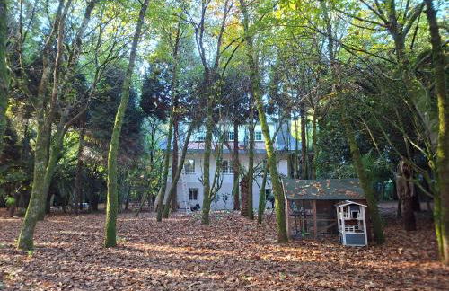 Oasis Ponte San Lázaro - Photo 37