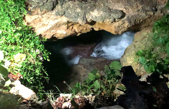 Loft on Océan - Foto 25