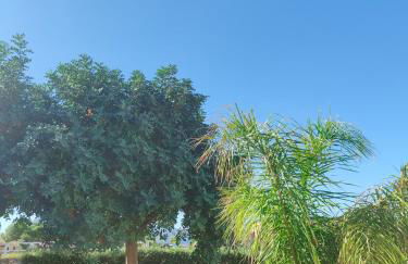 Villa Castiglione - Foto 27