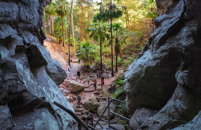 BIG4 Carnarvon Gorge Holiday Park - Foto 47