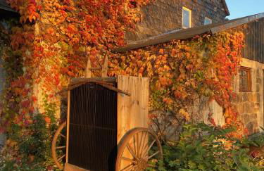 Stall & Sterne - Tiny Häuser - Foto 28