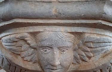 The Palm Tree House Alentejo Private swimming pool 6 suites Iconic Palm tree - Foto 78