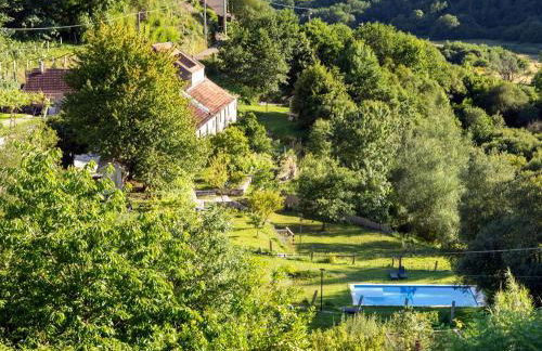 QUINTA do SOUTO BARCIADEMERA - Foto 3