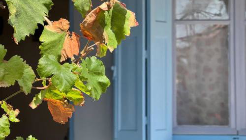 Ampelia home - Vacation home by the sea - Foto 3