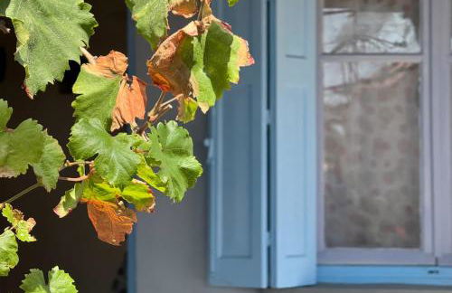 Ampelia home - Vacation home by the sea - Photo 3