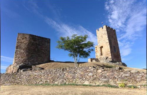 Anjú-Pardal - Foto 55