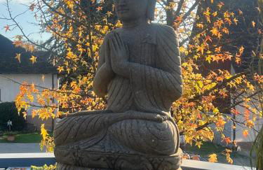 1 Zimmer mit Bad ohne Küche, 1 Person, 15 qm, direkt an der Aach - Foto 28