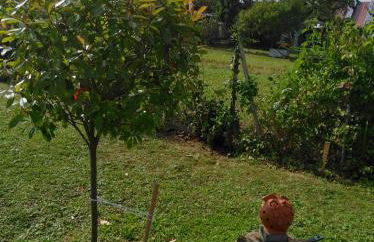 Ferienhaus Hedwig - Foto 22