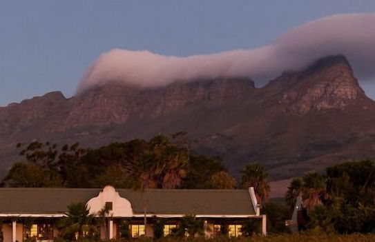 The Country Guesthouse - Photo 33