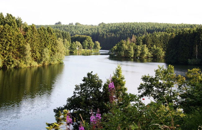 Charming Cottage With Jacuzzi Located Near Nature and ski Slopes - Photo 25