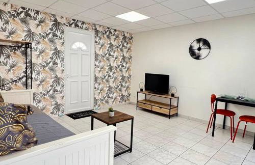 Le petit Penon ~ T1 Bis avec parking /clim /Fibre - Foto 9