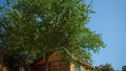 Hamlet's Friends - Foto 3