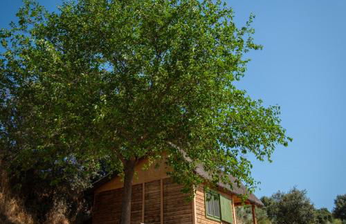 Hamlet's Friends - Foto 3