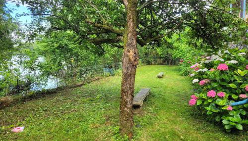 Maison troglodyte - Photo 3