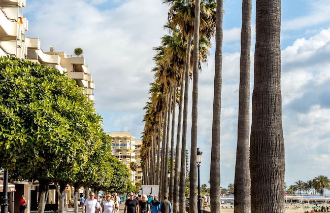 Skol Sea Views Apartments - Photo 92