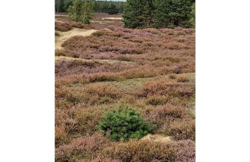 Jameln - Lüneburg Heath - Foto 25