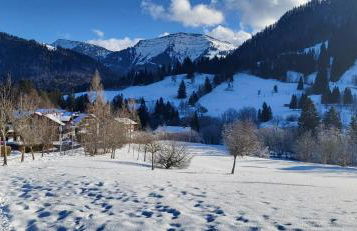 FeWo Allgäuliebe mit WLAN Oberstaufen Steibis - Foto 26