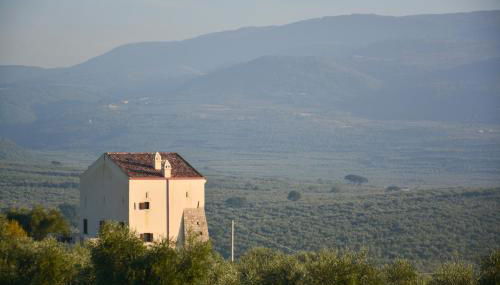 Torre Bruno - Foto 5