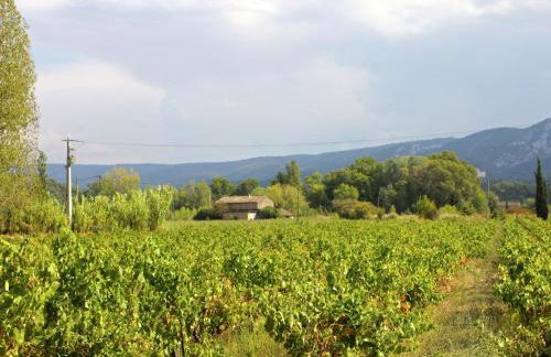 Charming Cottage in Oppède amidst Vineyards - Foto 31