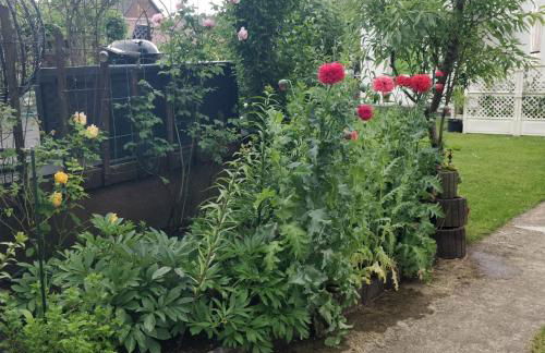 Gästehaus am Teich - Foto 18