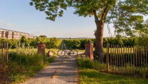 Apfelhof Wegener - Elstar & Topaz - Foto 2