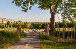 Apfelhof Wegener: Elstar & Topaz - Foto 2