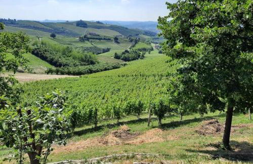 Luxury Villa Cenaia - Foto 17