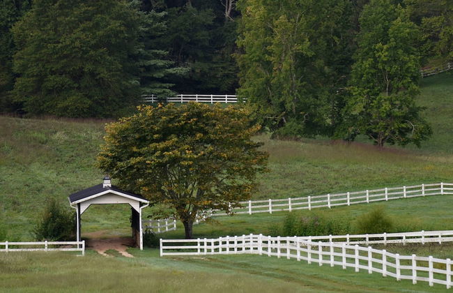 The Horse Shoe Farm - Foto 52