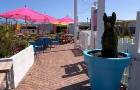 Driftwood dreams - Photo 21