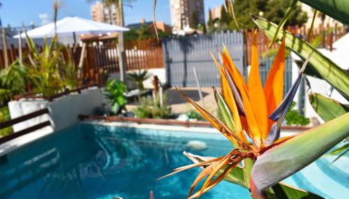 APART TURISTICOS MARINE REST LA MANGA MAR MENOR piscinas privadas - Foto 3