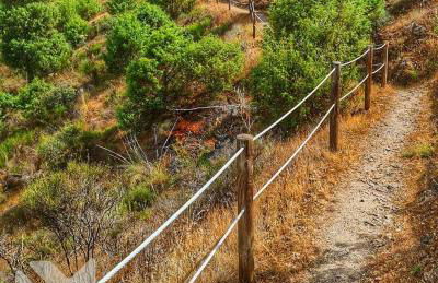 Anjú-Pardal - Foto 80