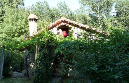 Los Prejones - Photo 22