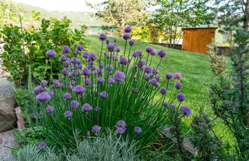 Casa Camporino - Foto 5