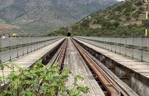 El Abigero - Foto 16