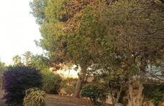 Charming House in Marsala with Private Garden - Foto 41