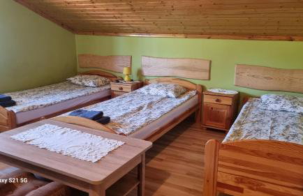 Pod Smerekiem - Photo 15