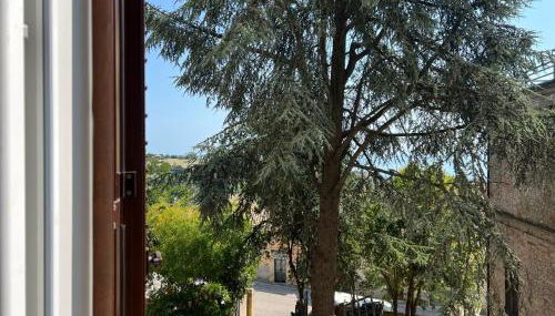 Mare Adriatico-Il Passetto - Foto 3