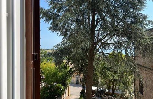 Mare Adriatico-Il Passetto - Foto 3