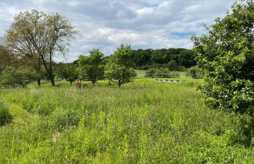 Scheier (Ferienwohnungen) - Foto 38