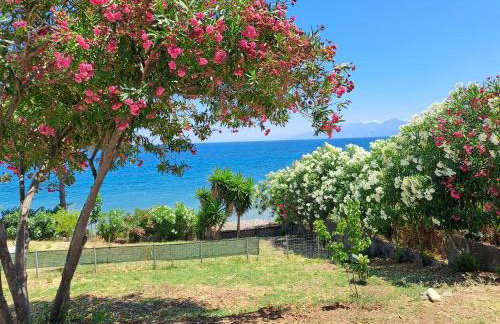 Beach House Kotrona - Photo 17