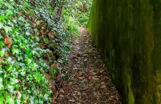 Rifugio sul Lago di Lugano a Porto Ceresio - Photo 25