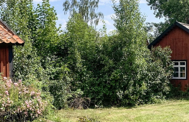 6 Person Holiday Home in Loftahammar-by Traum - Foto 24