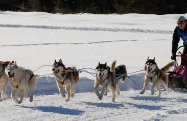 Al Casello - Foto 34