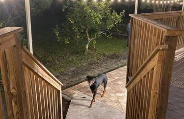 Resort Like house, 4 bedrooms, 3 bathrooms - Photo 7