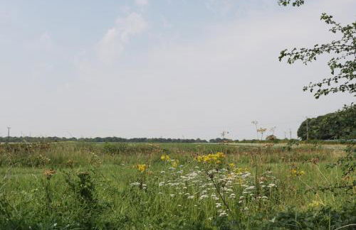 Corner View - Photo 14