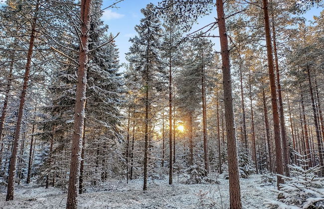 Päivärinne - Foto 10