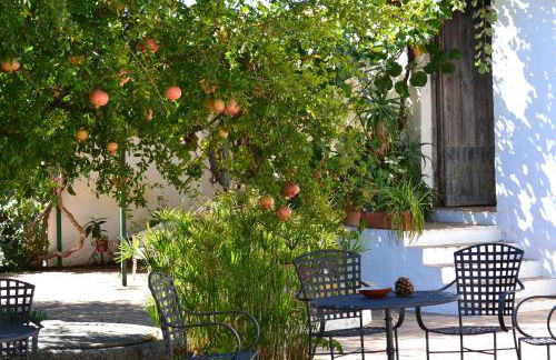 Las Navezuelas - Photo 73